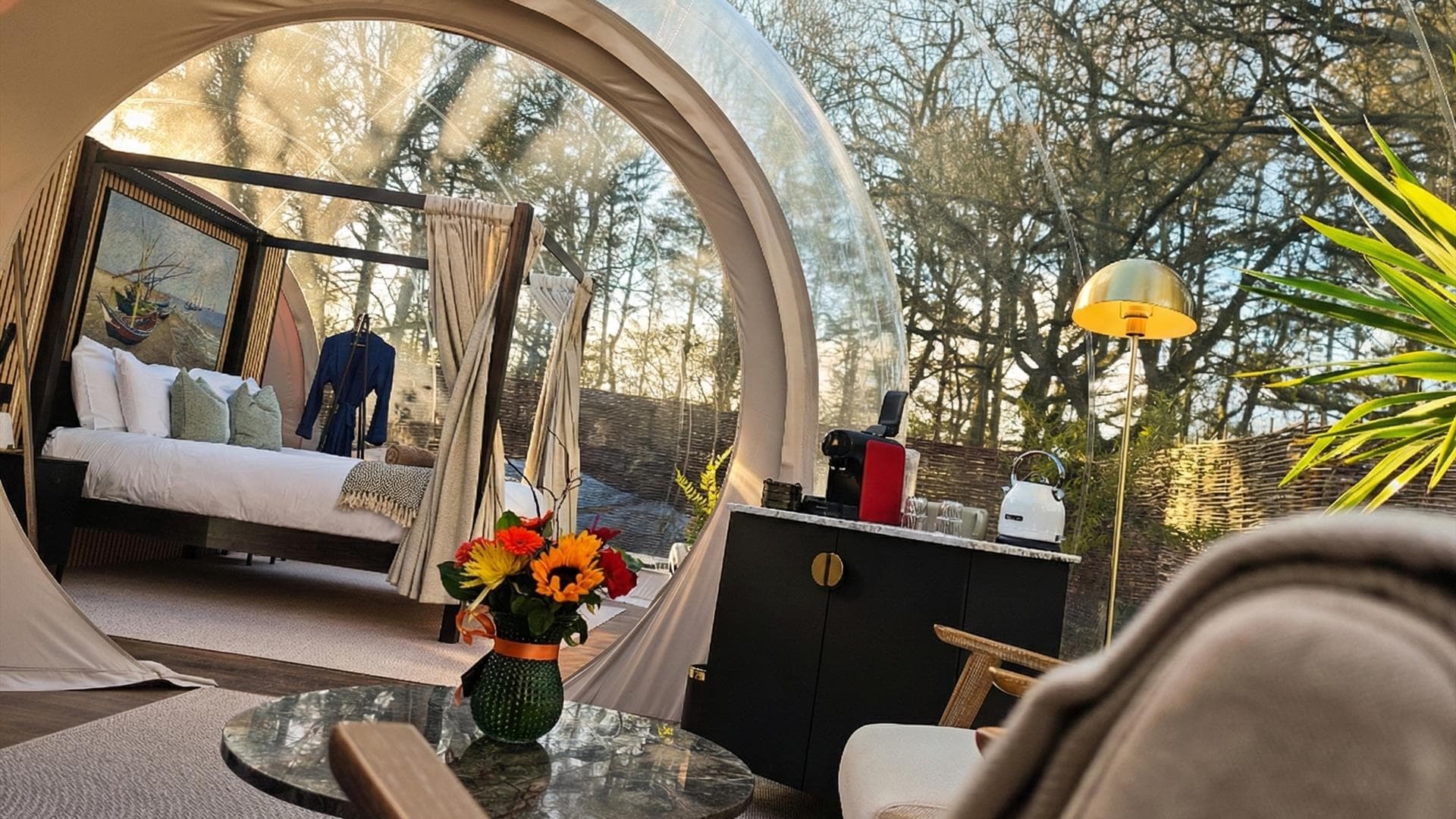 McDonnell Suite