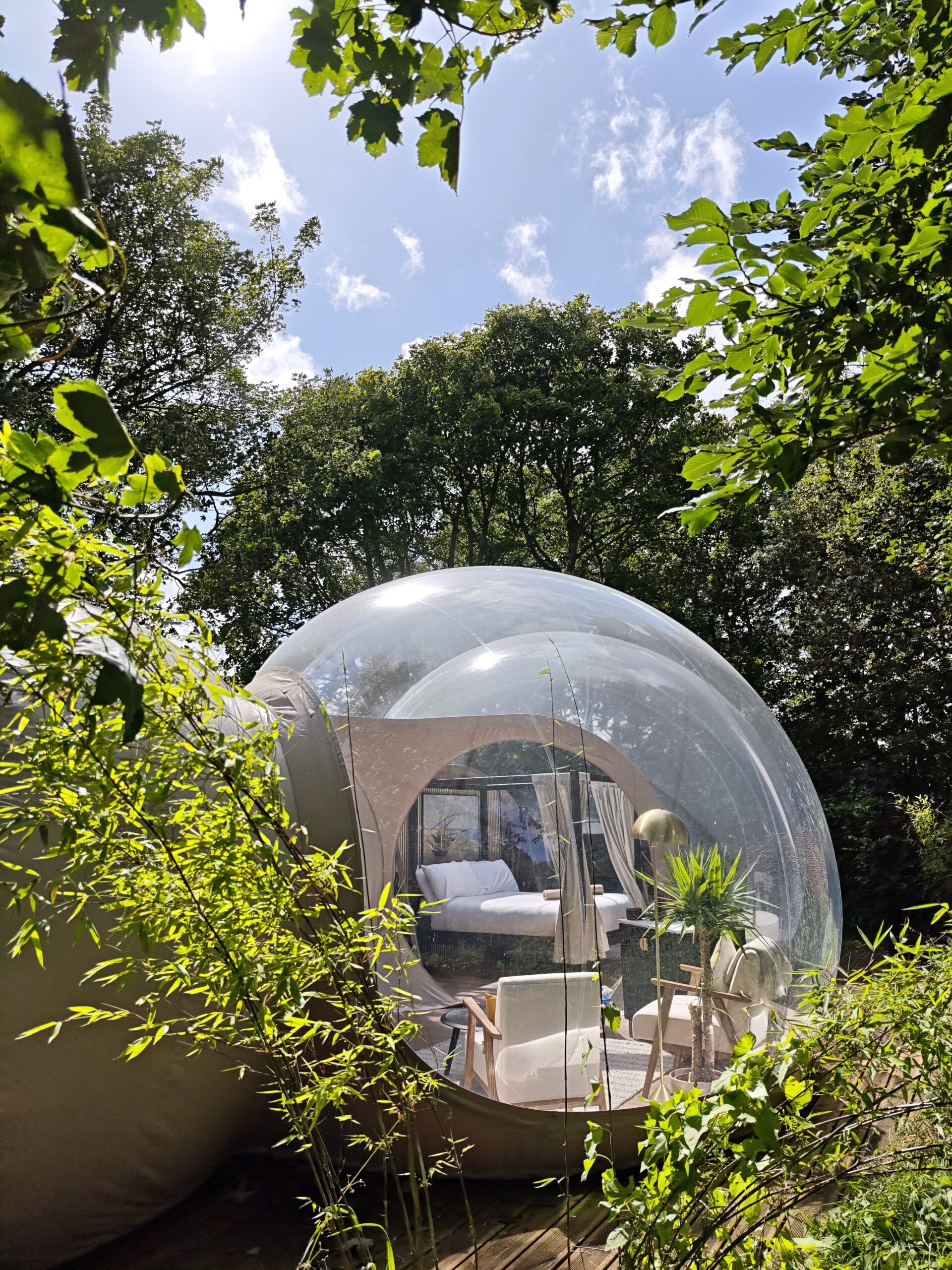Cromore Retreat premium bubble dome suite with clear blue skies and trees