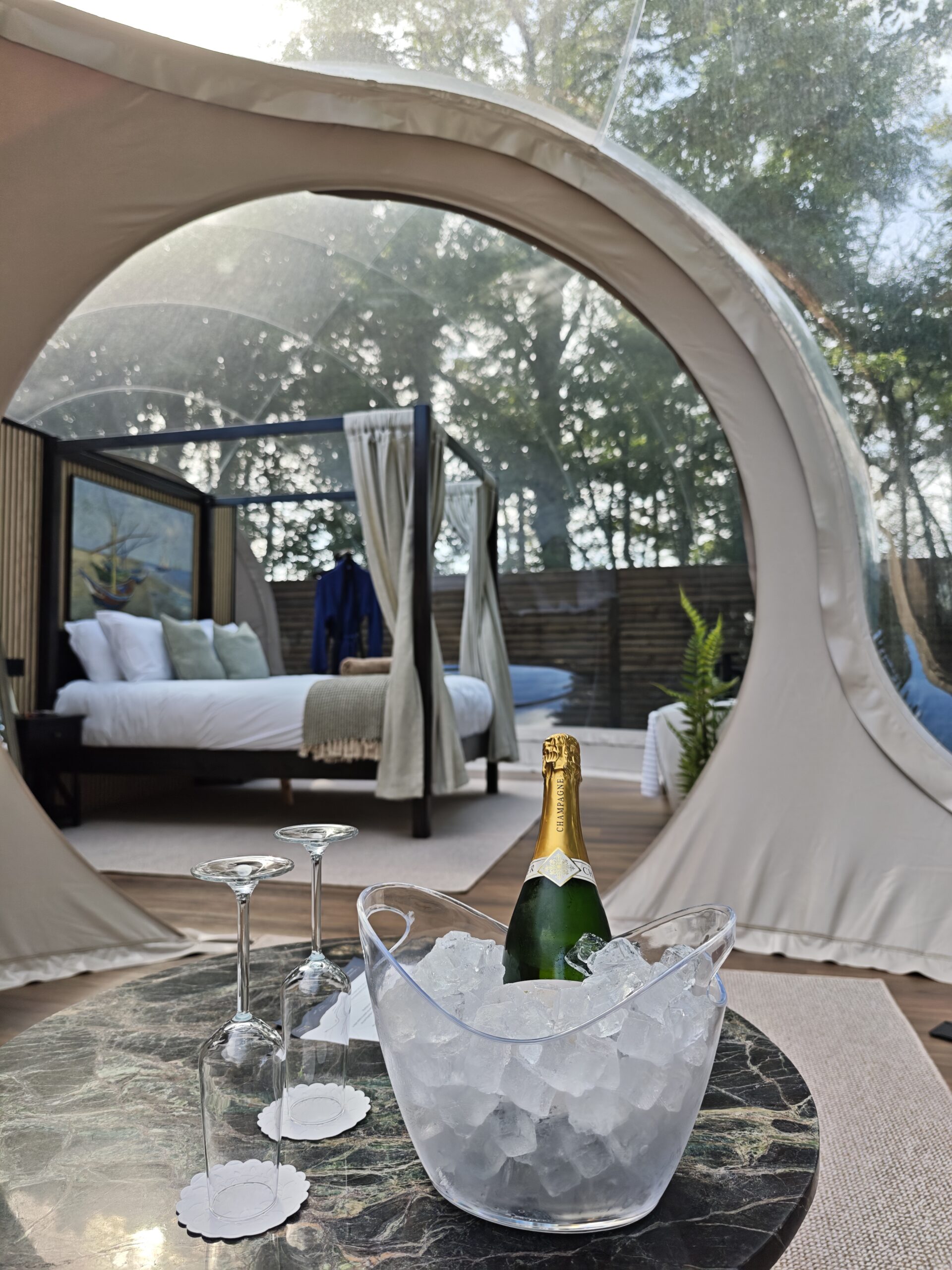 Luxury stargazing forest dome in Ireland