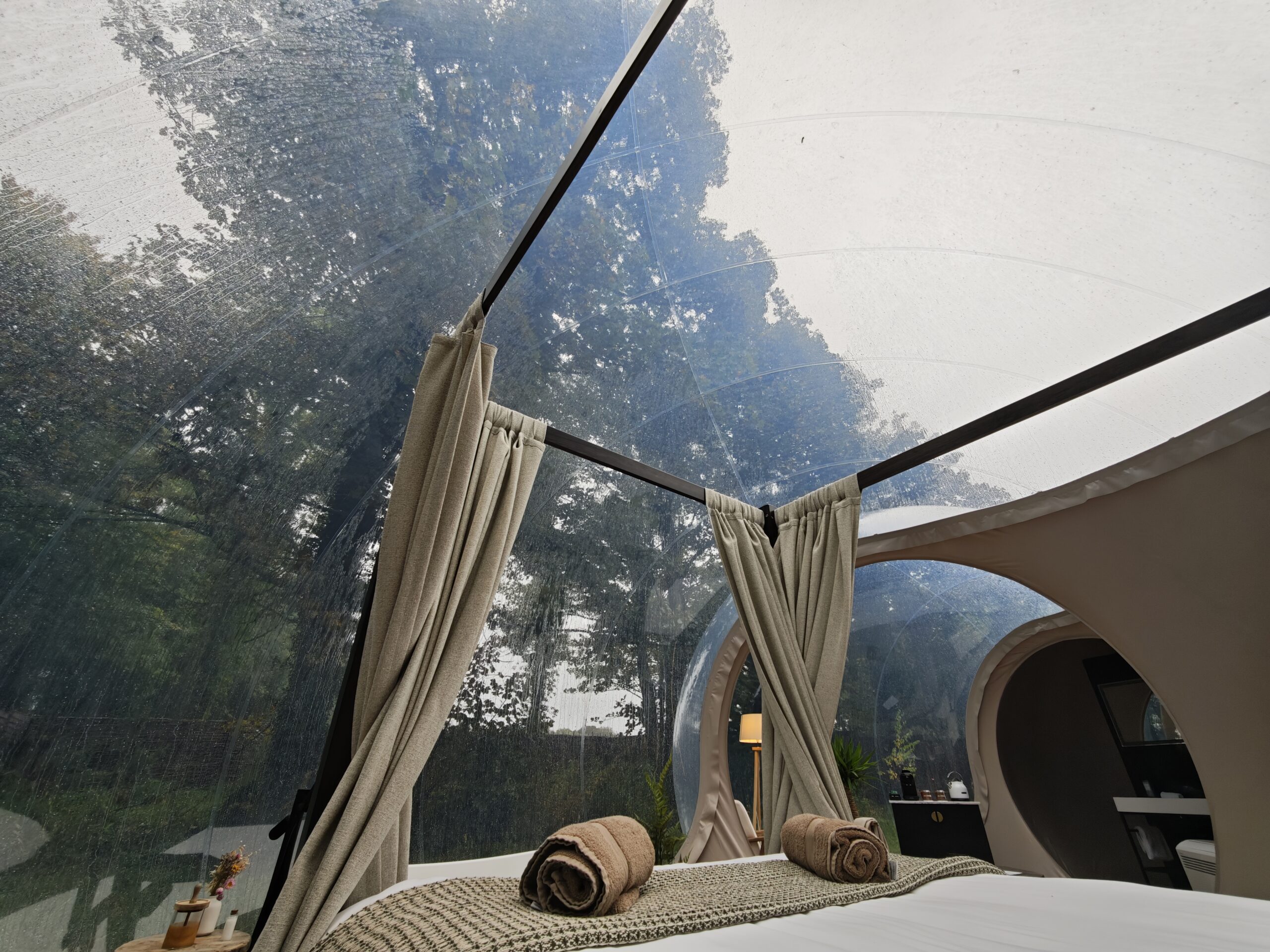 View of woodland canopy from 4 poster bed with dressing gowns