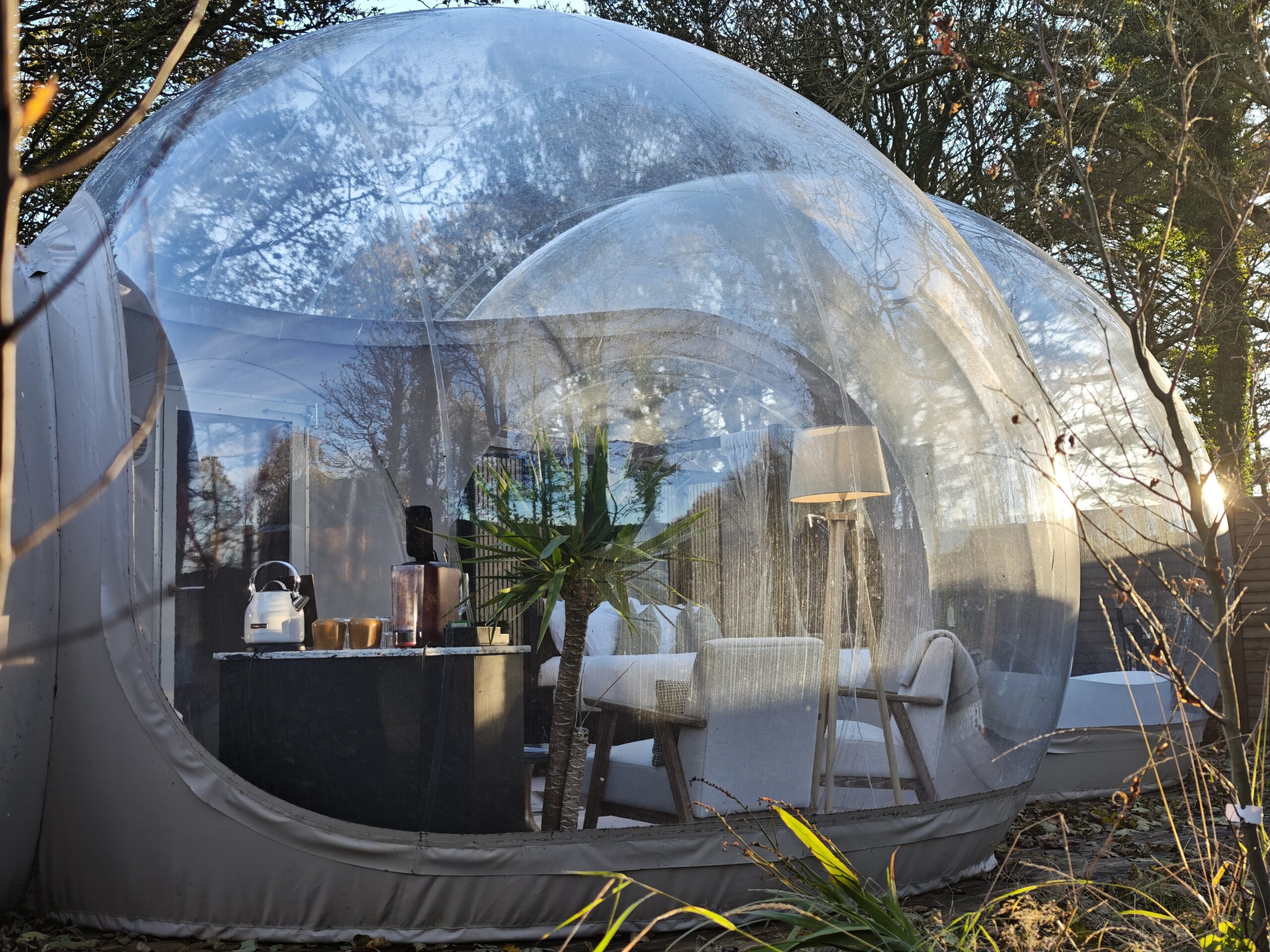 Cromore Retreat Premium Bubble Dome Suite Northern Ireland Portstewart View of woodland canopy from 4 poster bed with dressing gowns