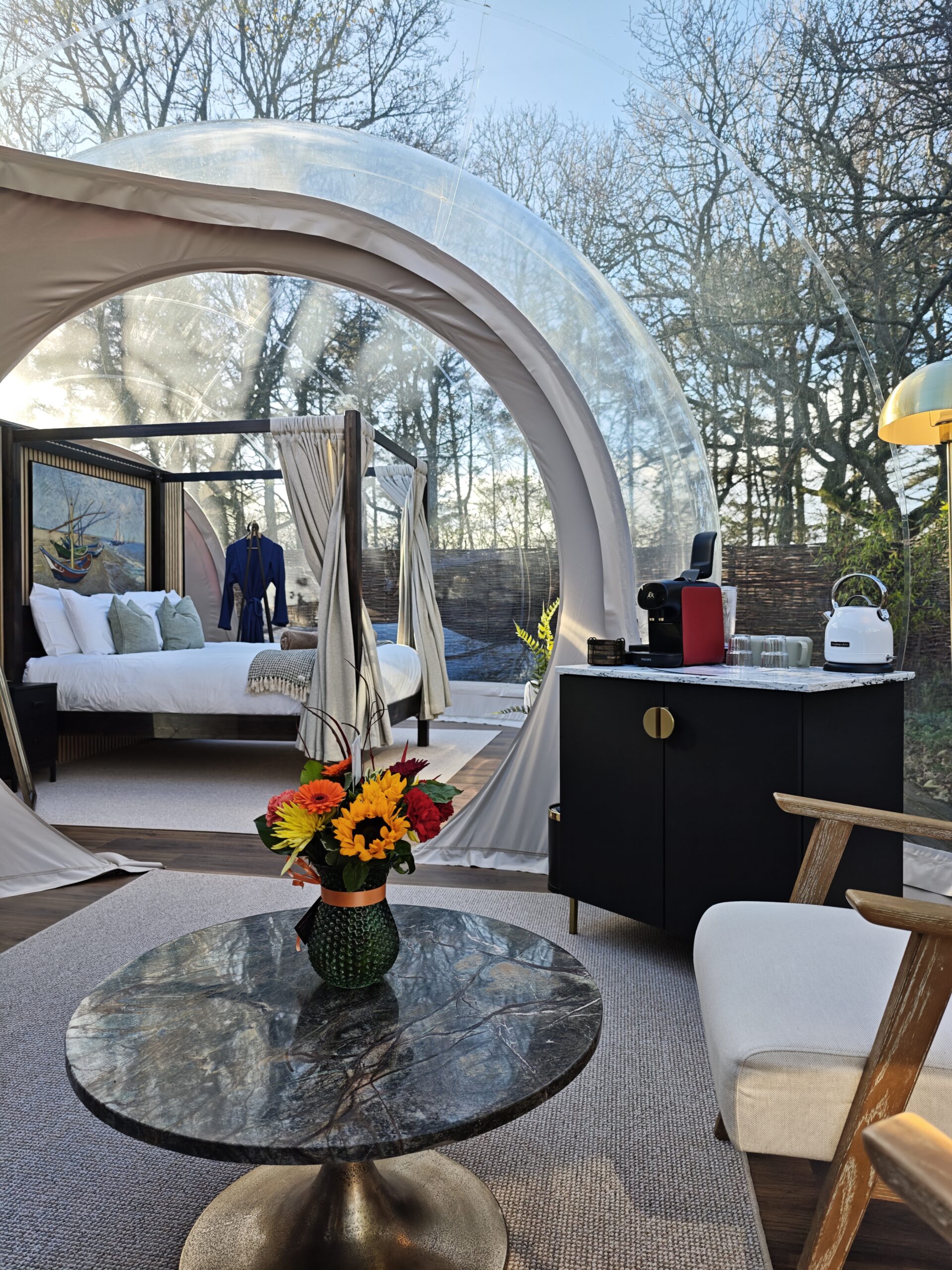Luxury stargazing forest dome in Ireland